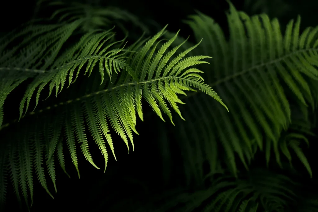 Natural green leaves for website hero section